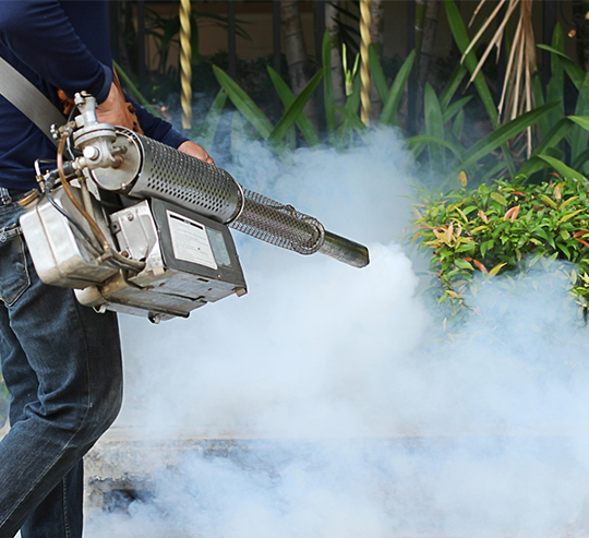 
Pest Control Service in Melbourne